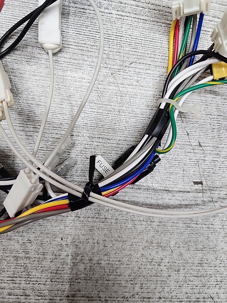 Rheem Tankless Water Heater ECO180DVLN3-1 Gas Control Wiring Harness