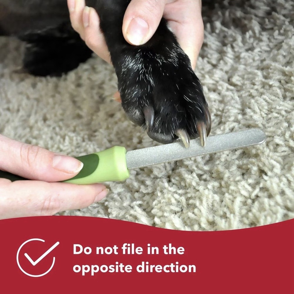 Dog Nail File