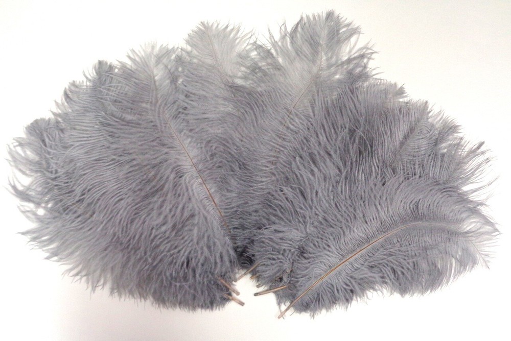 Gray Mini Ostrich Feathers 5-8 Inch per 24