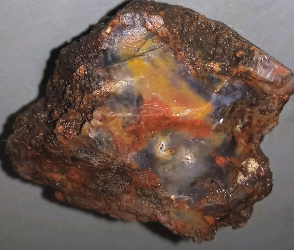 Petrified Wood Rough Specimen AZ 50g