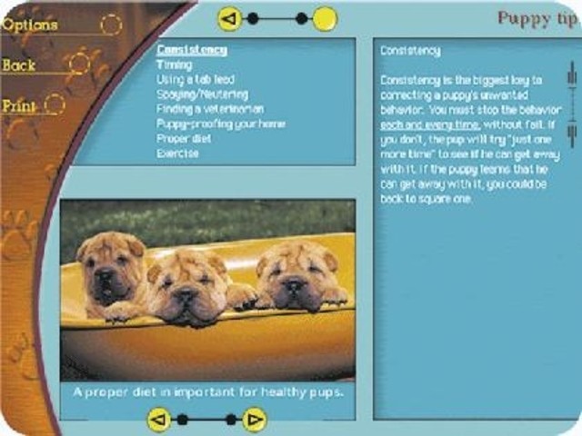 Easy Baby Massage for Windows and Mac