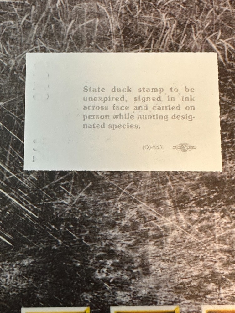 1993 Nevada State Duck Stamp