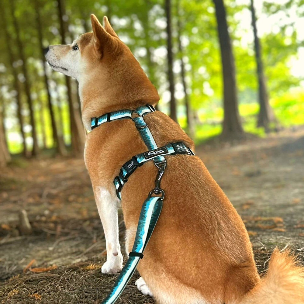 Casual H Dog Harness No-Pull Pet Harness with 2 Leash Clips Adjustable Soft P...