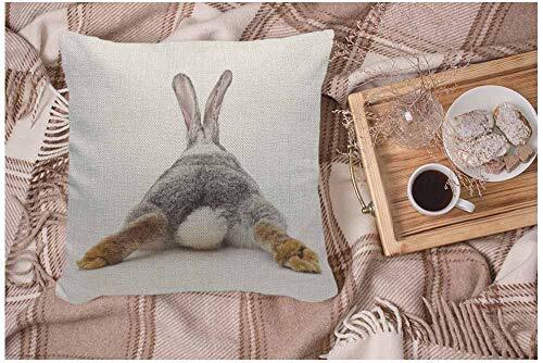 WONDERTIFY Throw Pillow Case Cover Grey Rabbit Isolated on A White Multi 93