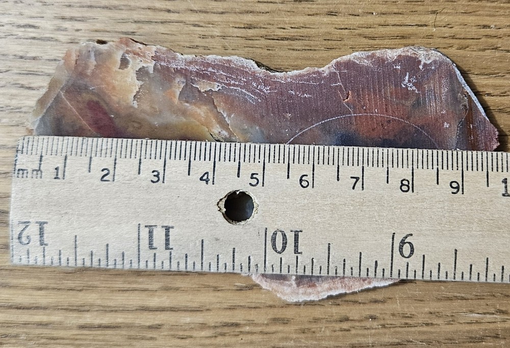 Rainbow Ridge Ledge Jasper Agate California 64 Grams