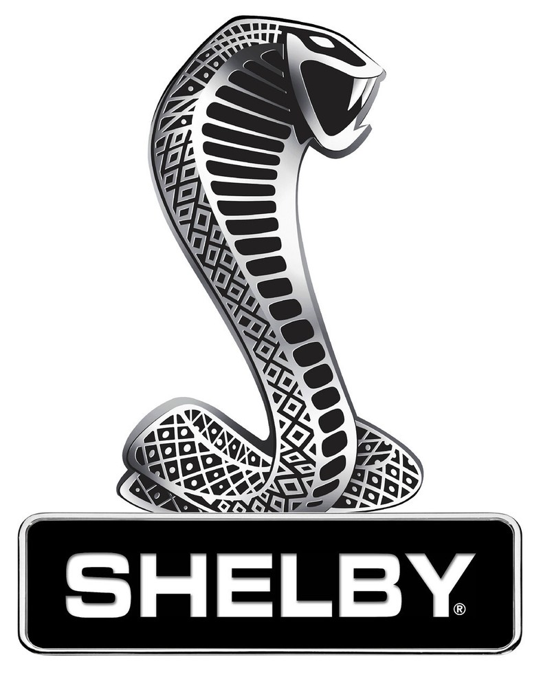 Shelby Snake Sign - Black Base- 12" x 9.5"