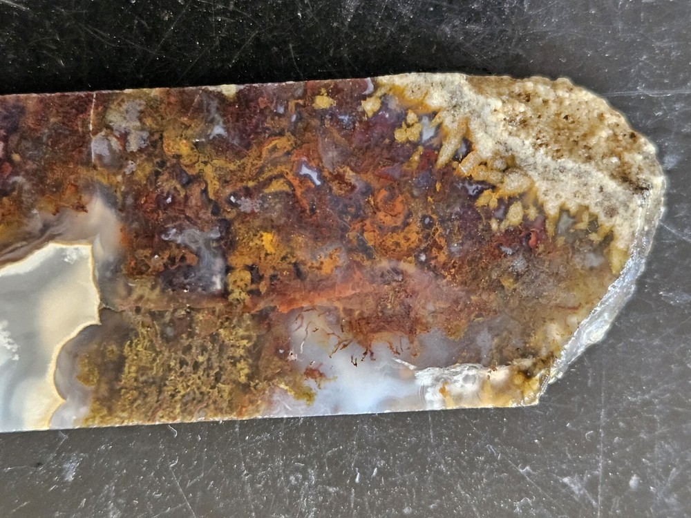 Agate Lapidary Slab With Moss