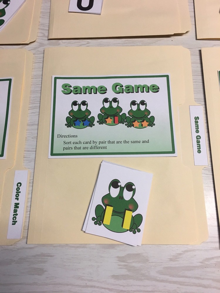 10 File Folder Set - Teaching READING MATH -Froggy Kit