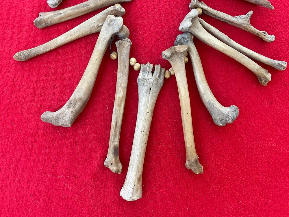 Extraordinary Old Aztec Xoloitzuintle Bone Shaman’s Necklace