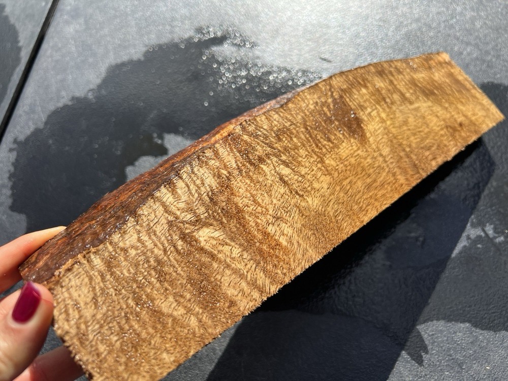 Hawaiian Curly Mango Board #14310