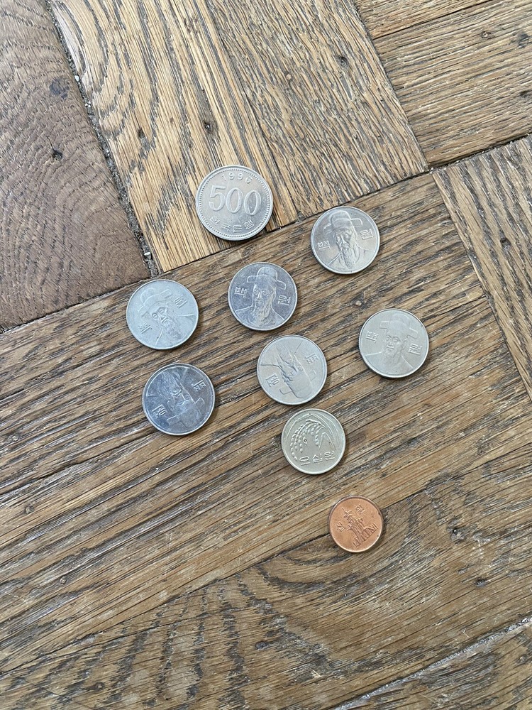 South Korean Won