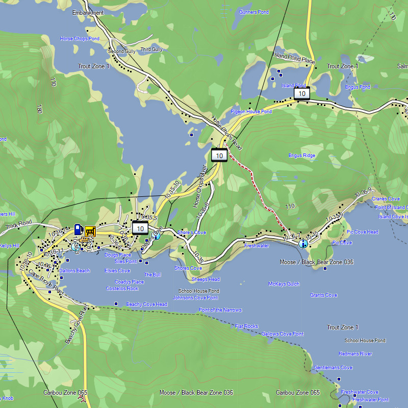 TrakMaps TOPO Newfoundland - Garmin GPS Map