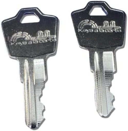 SentrySafe Replacement Key H Code | Compatible with Sentry Fireproof Boxes & ...