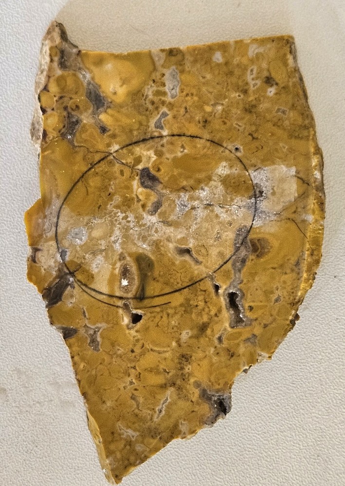 Yellow Jasper Lapidary Slab 49 grams