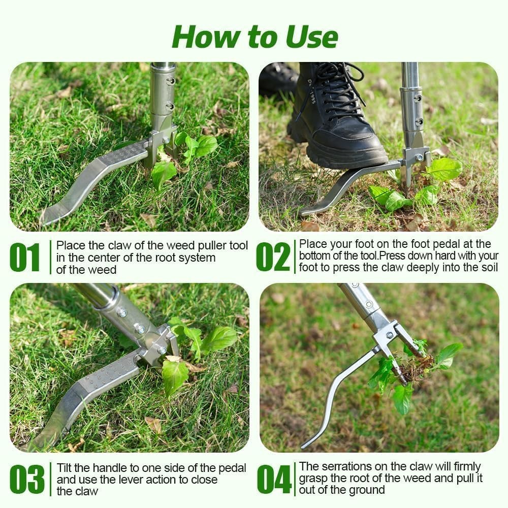 Stainless Steel Stand Up Weed Puller Tool with Long Handle, Thickened 304 Sta...