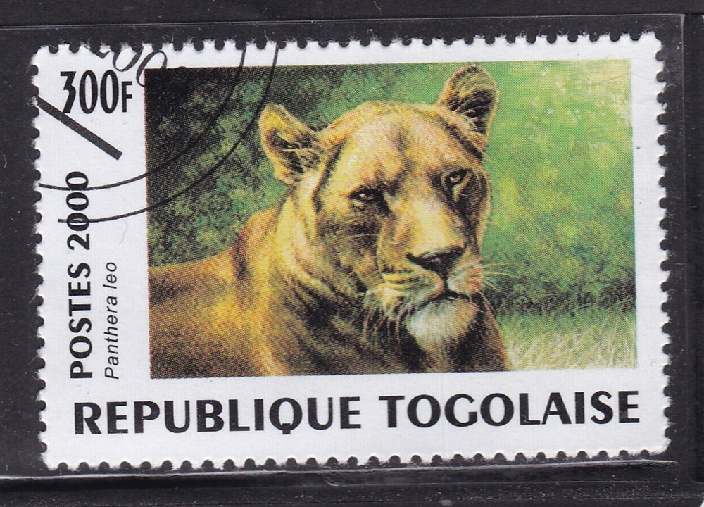 Togo 2000 Lion 300f CTO VGC