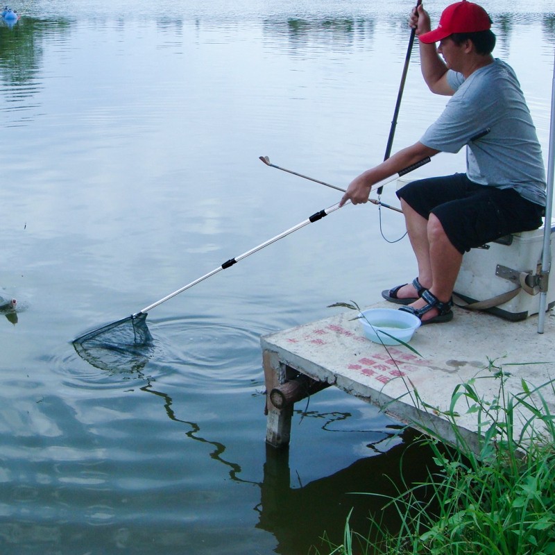 Fishing Landing Net Aluminum Telescoping Pole Handle 3 Section Extending Pole US