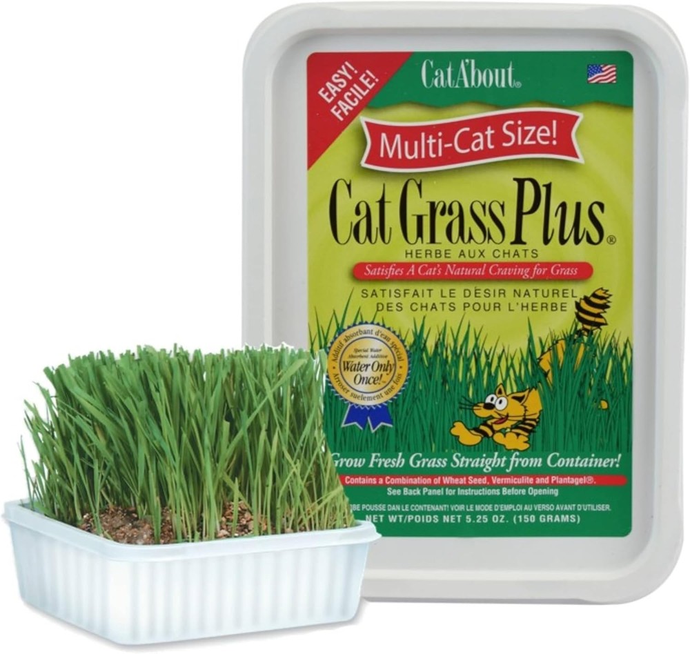 Indoor Cat Grass Kit Miracle Care 5.25 oz