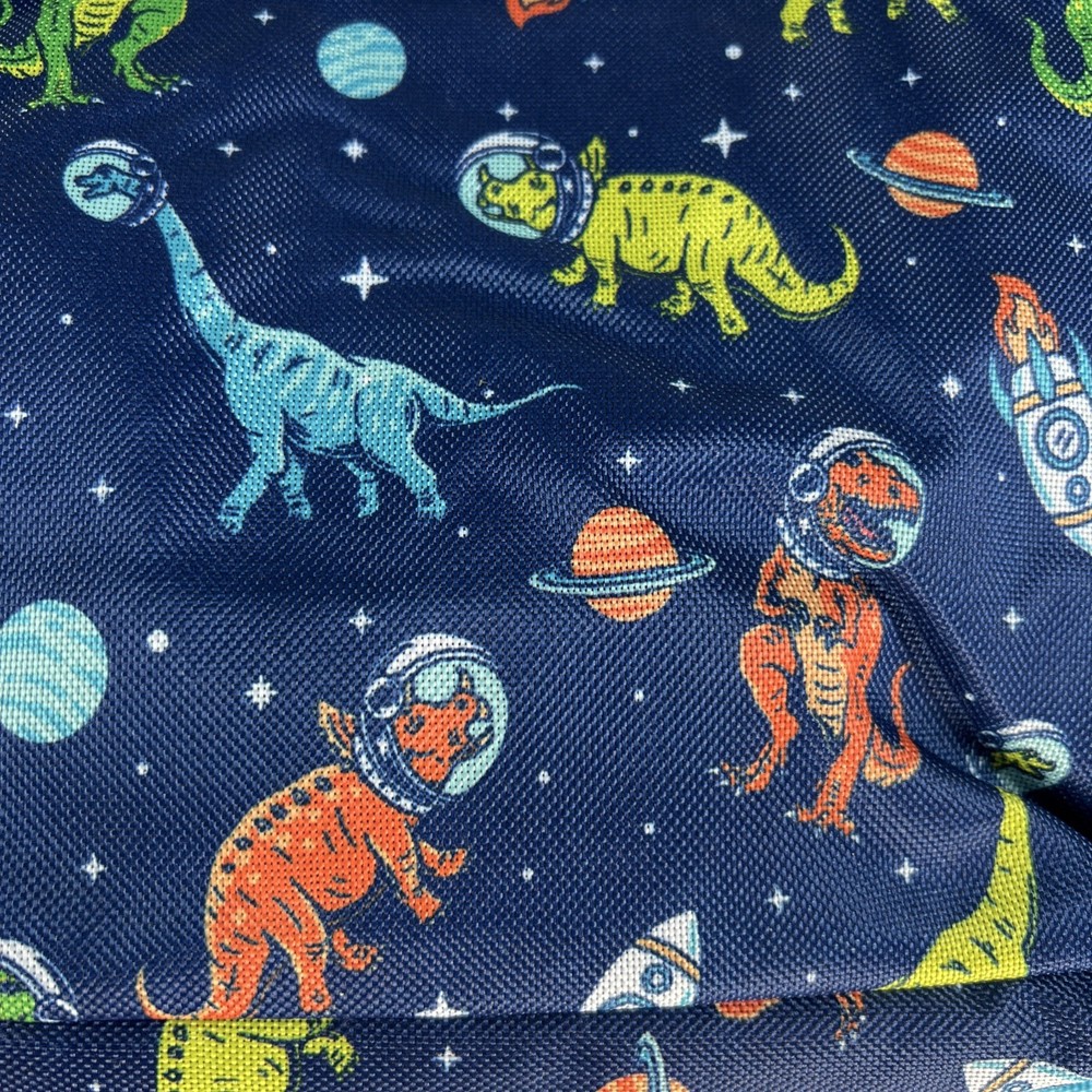 AD Sutton & Sons 2pc Backpack Space Dinasours & Critter Keychain NWT