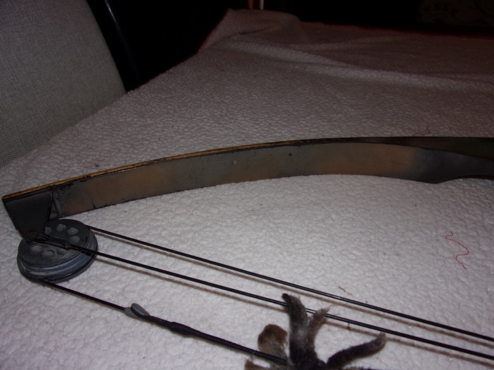 American Archery Wood Compound Bow