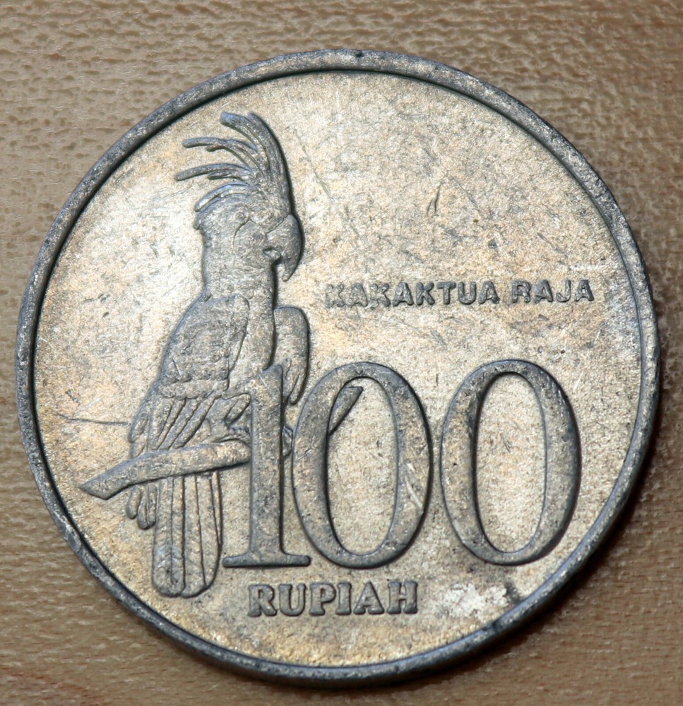 1999 Indonesia 100 Rupiah Black Palm Cockatoo