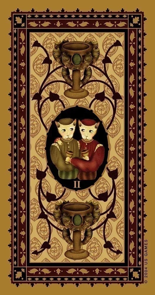 Medieval Cat Tarot Cards Deck!
