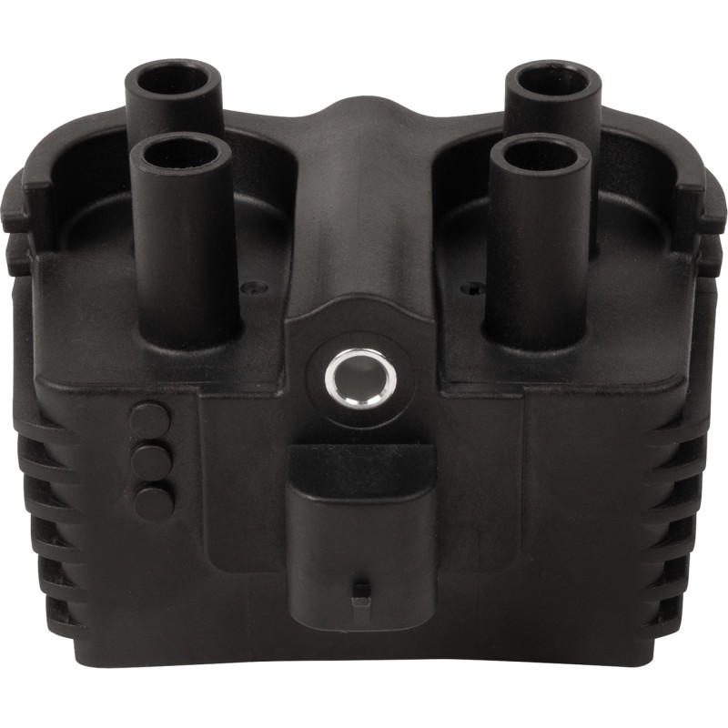 Daytona High Output Coils 2018M8