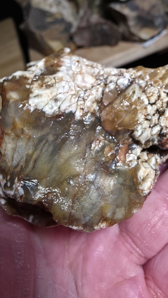 agatized petrified wood 3pc. Lot