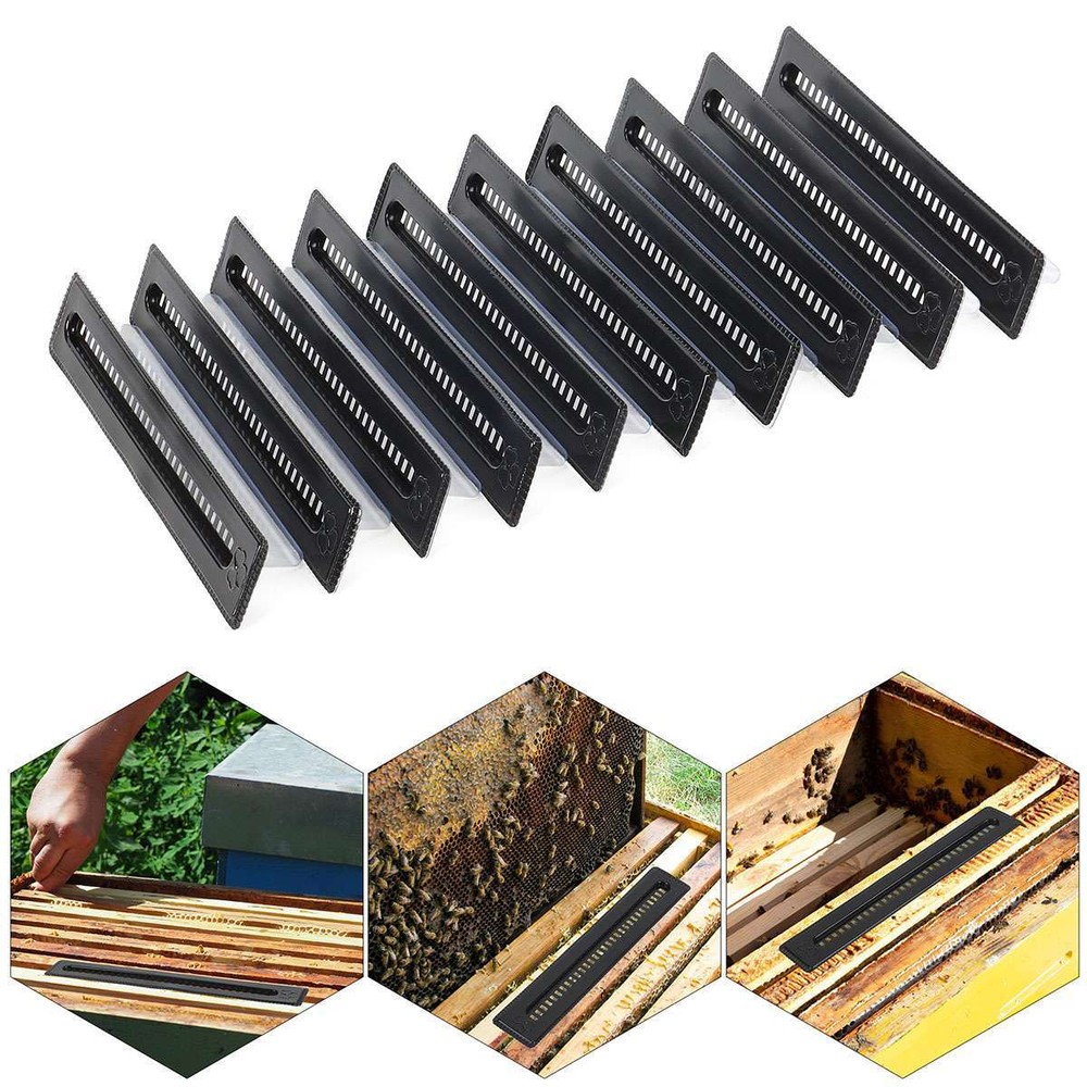 10X Small Bee Hive Beetle Blaster Bee Hive Beetle Trap Beekeeping Tools Plastic