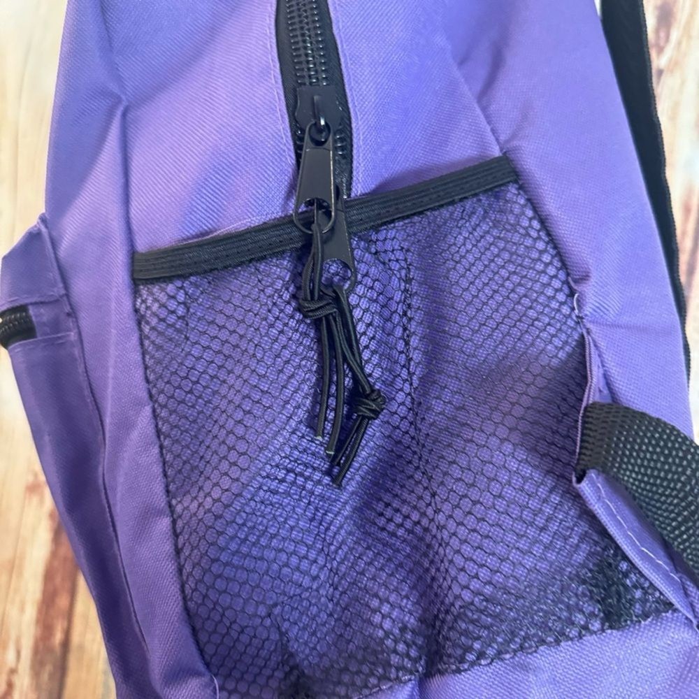 BigBox Nylon Purple Backpack 17 in