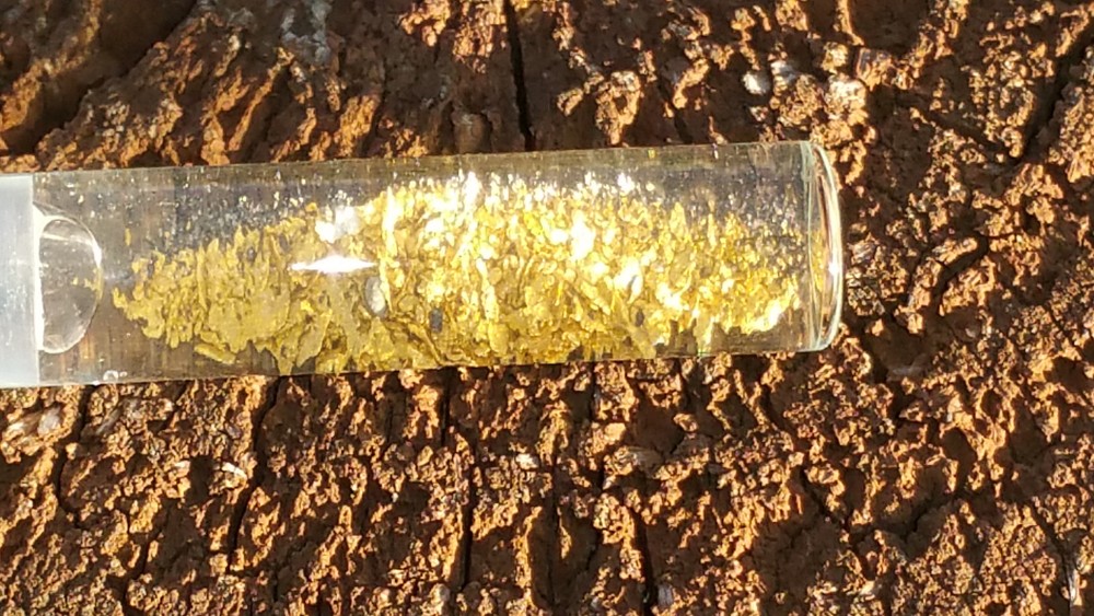Real gold concentrates for sale