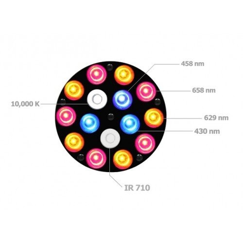 led full spectrum grow lights