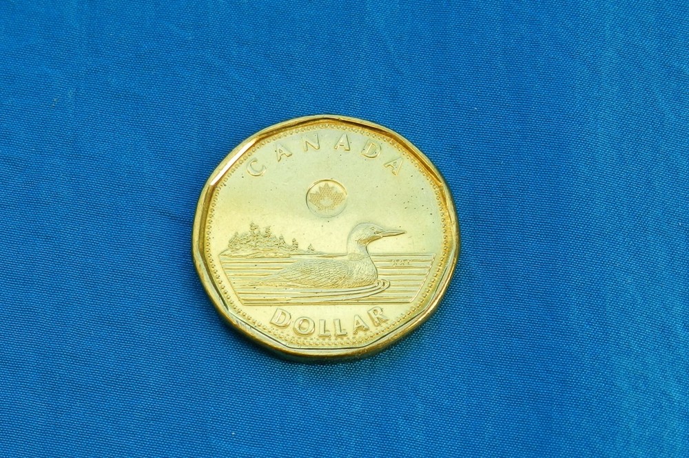 2013 Canada $1 Coin *Proof Like* *UNC*