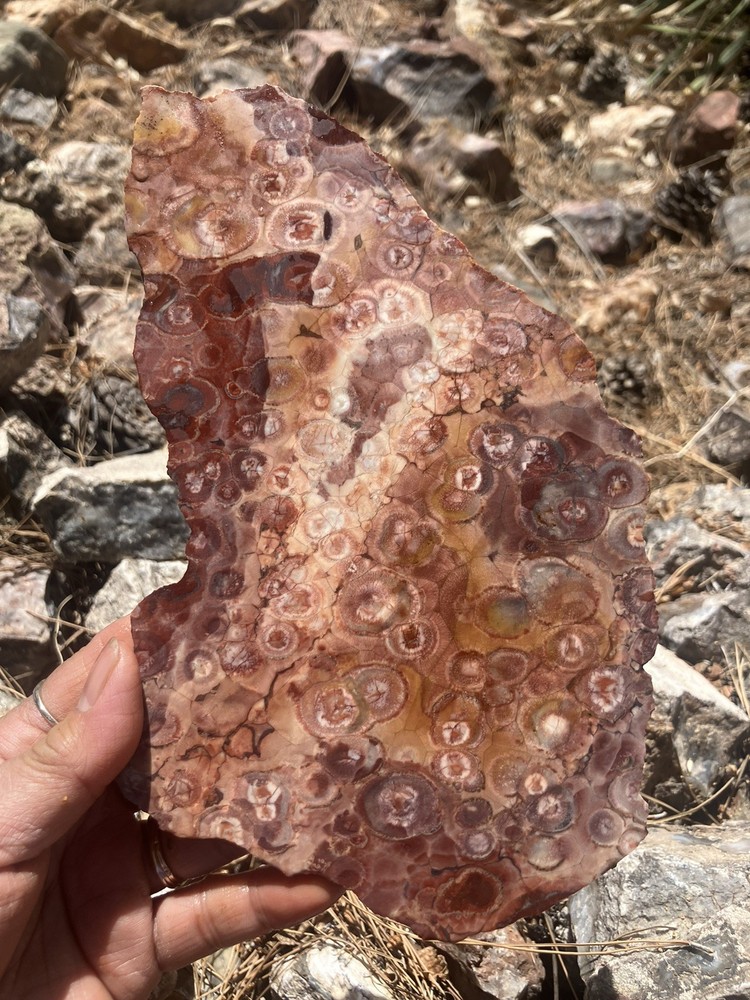 Bird’s Eye Rhyolite Slab