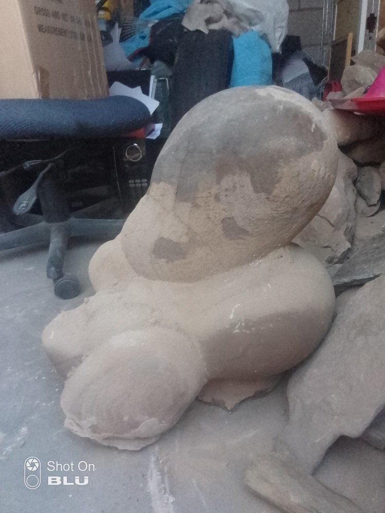 Unknown Possible Dinosaur Nest