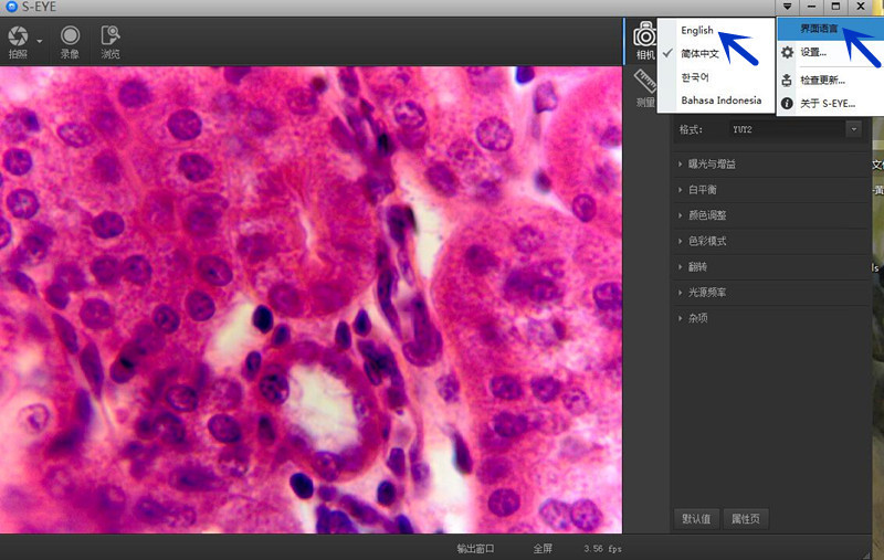 HD 2.0MP USB Microscope Digital Camera Electronic Eyepiece W/ Ring Adapters