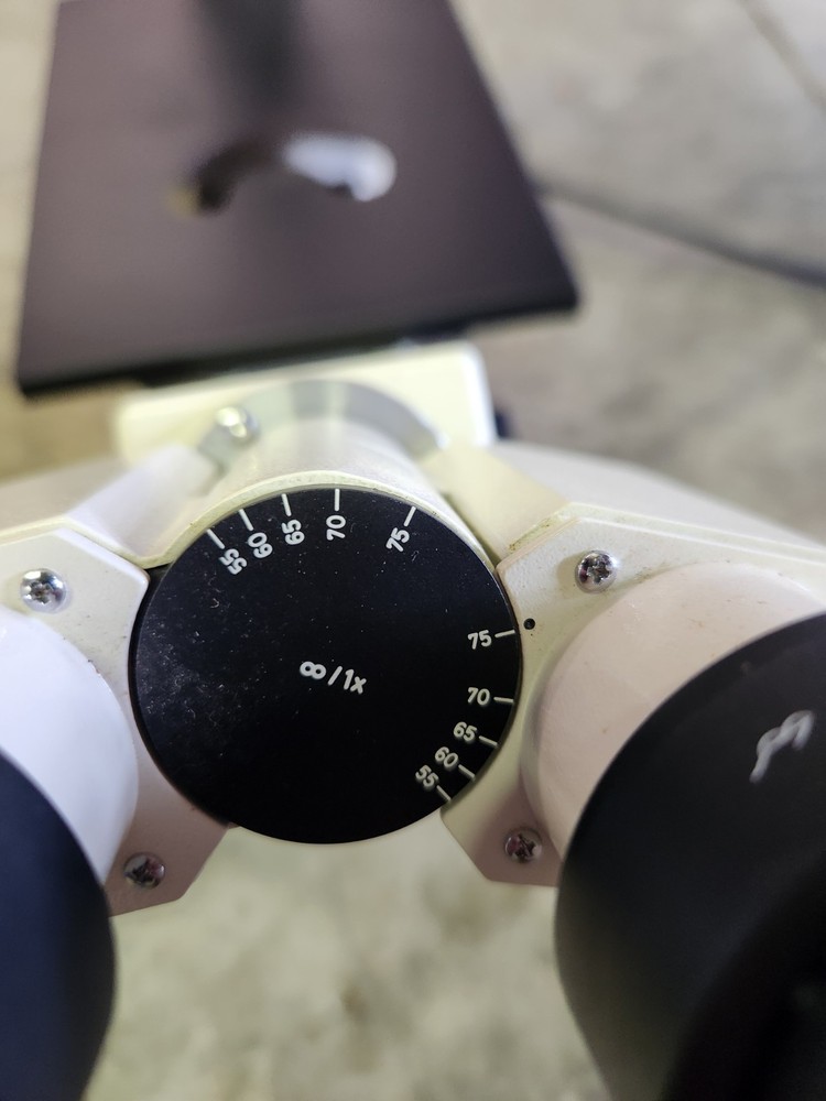 Carl Zeiss Microscope Invertoskop 40 C