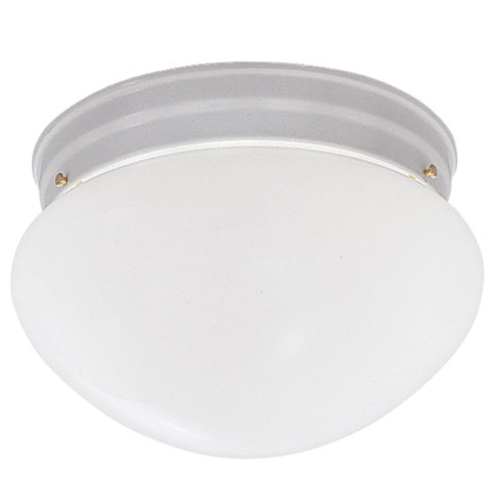 2-Lights Flush Mount Ceiling Light, 9 Inch Lighting Fixture for Kitchen, Bedr...