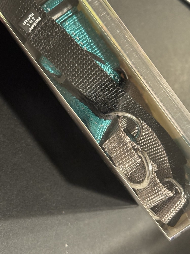 Petsafe 3 In 1 Harness, No Pull, Standard & Car Restraint, Medium, Teal color