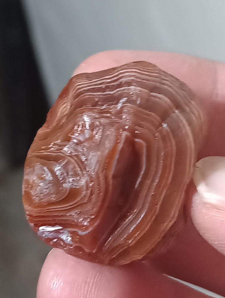 Lake Superior Agate, Solid Banding .92oz