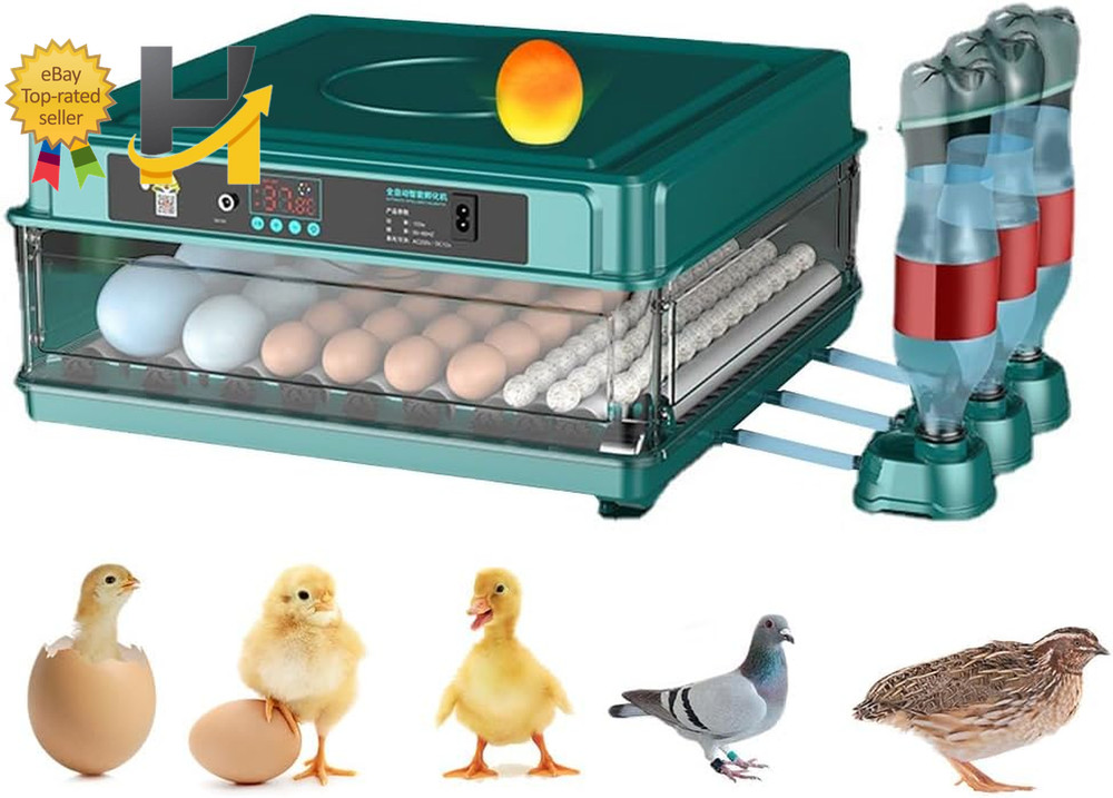 Automatic Egg Incubator 38 Egg Digital Poultry Hatcher Machine Automatic Egg Tur