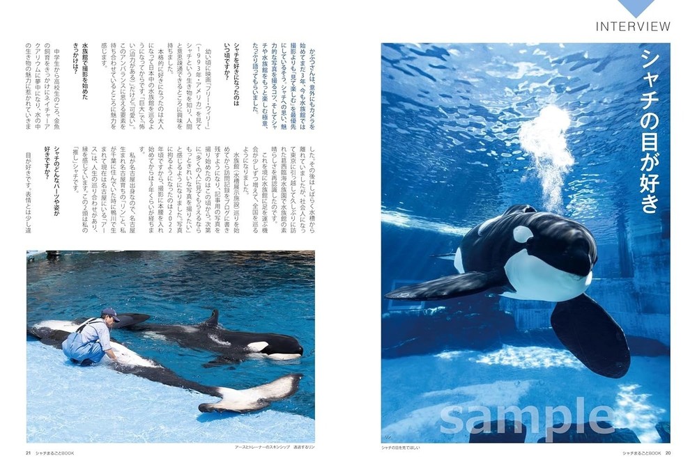 The Complete Orca Book Japanese Book