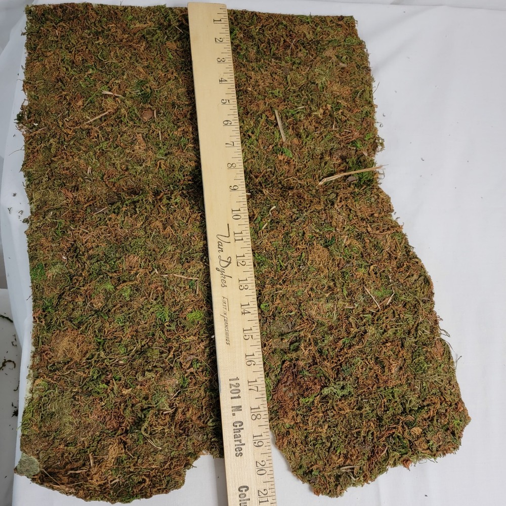 2 Mossy Grass Mats for Dept 56 Halloween Display Pre Owned