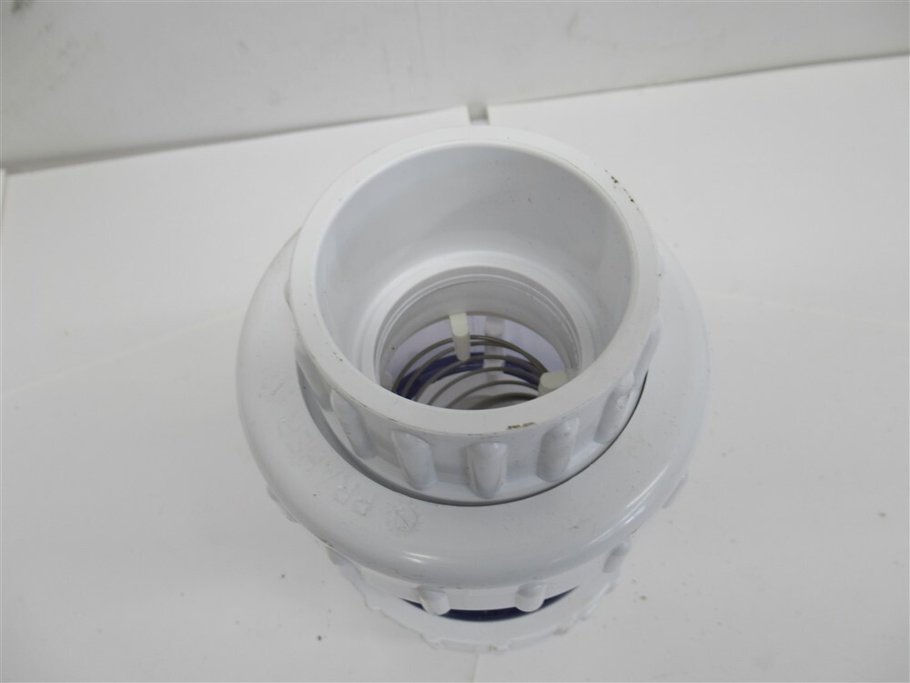 Praher , 2" Socket End Check Valve