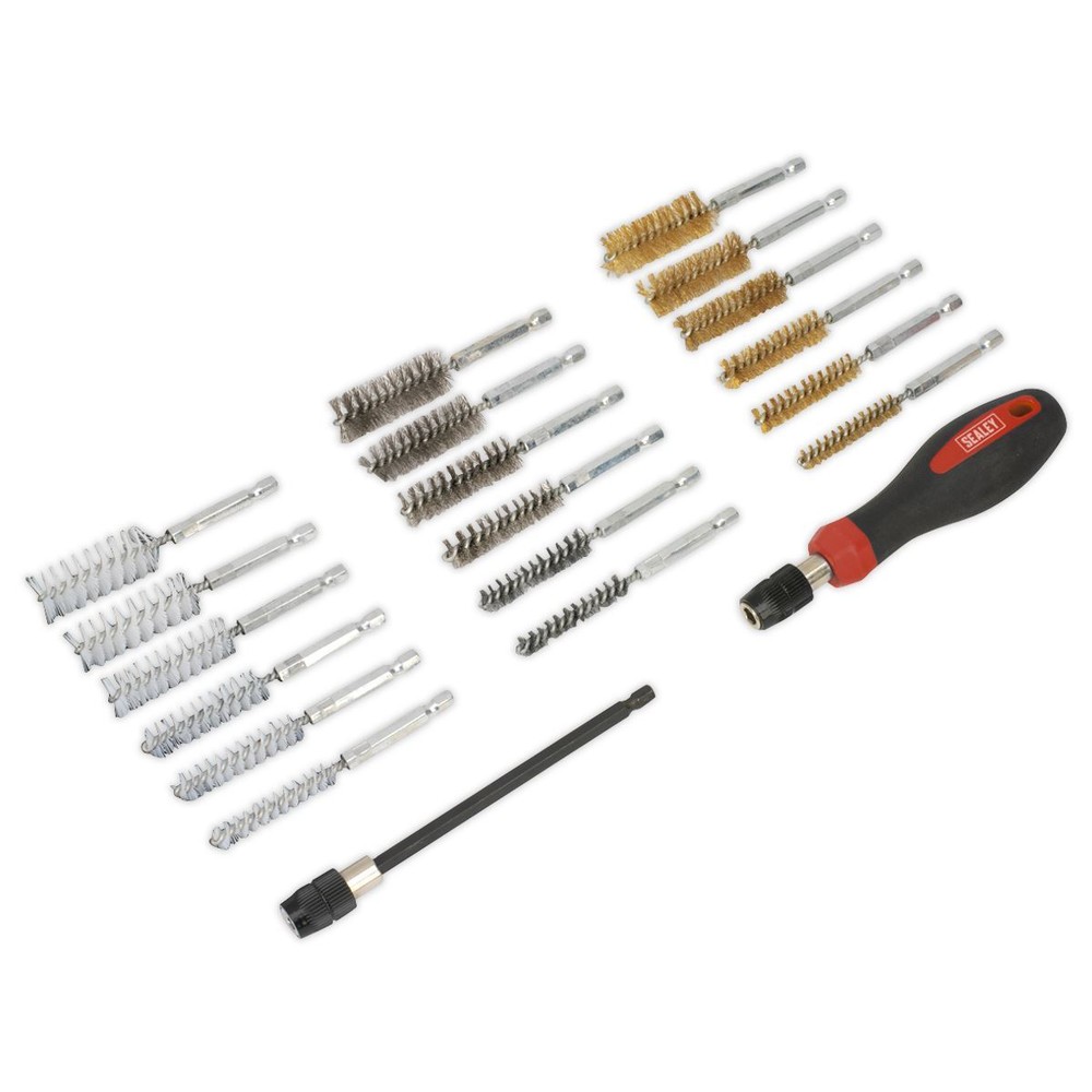 Sealey VS1800 Cleaning & Decarbonising Brush Set 20pc