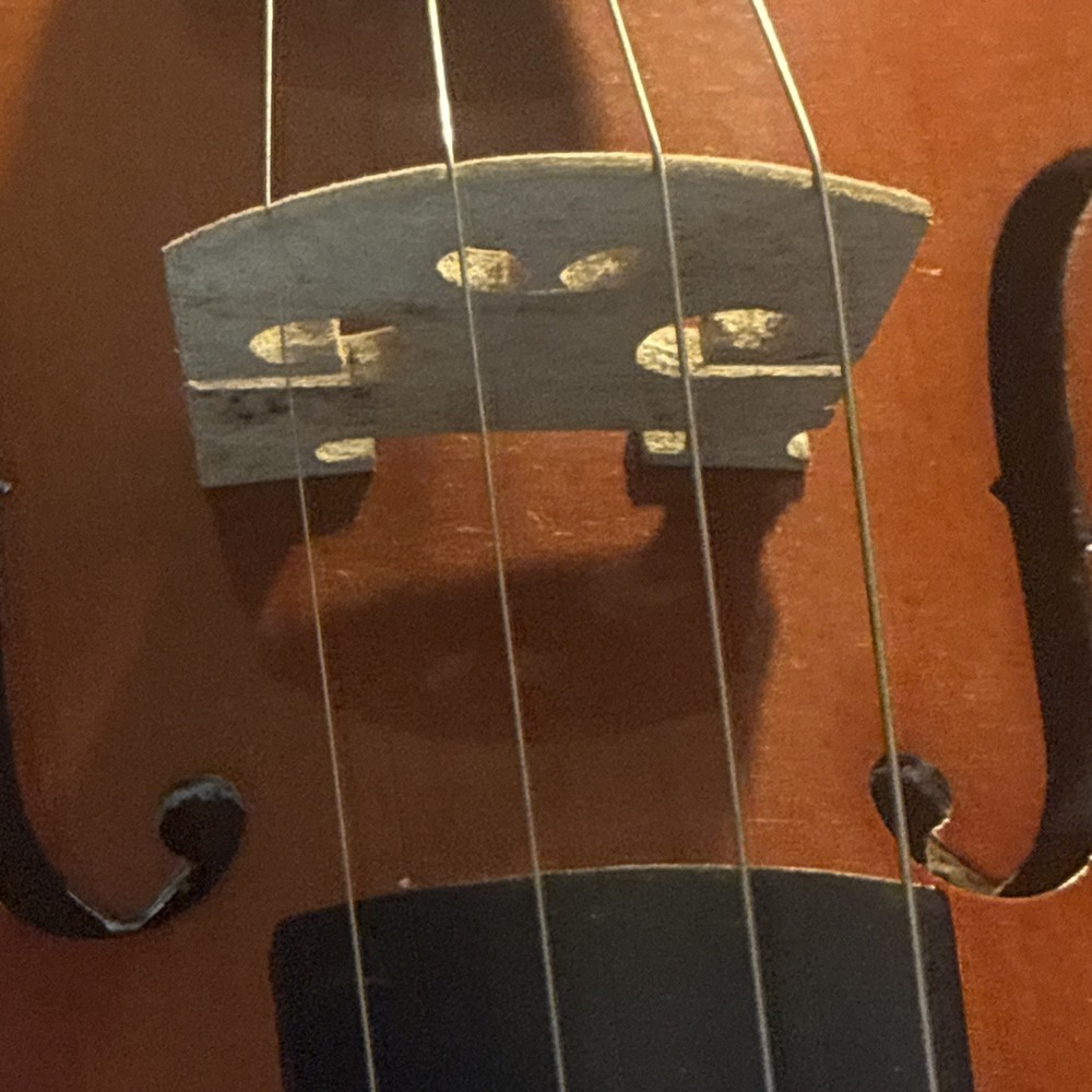 Violin