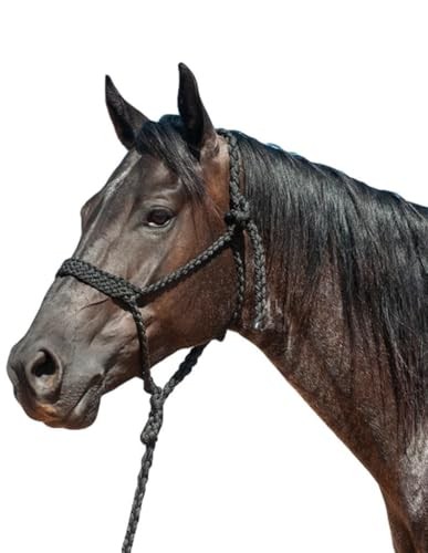Flat Braid Halter and Leadrope Black
