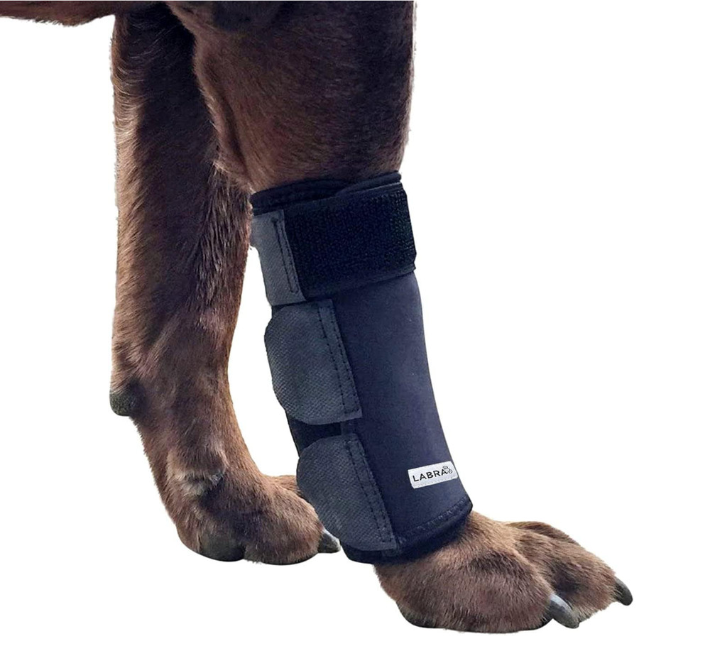 Dog Front Leg Brace Compression Wrap Adjustable Support Size L / XL