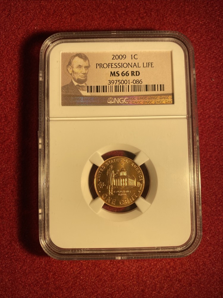 US 2009 1 Cent NGC MS 66 RD UNC Professional Life