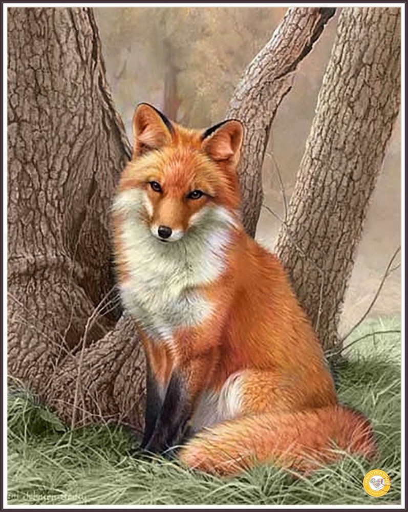 Curious Red Fox 1416 Chart Counted Cross Stitch Pattern Needlework